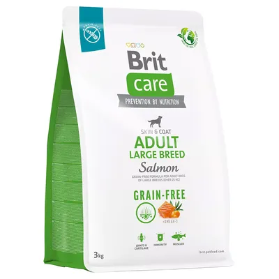 Brit Care Graanvrij Adult Large Breed Zalm & Aardappel Hondenvoer - Dubbelpak: 2 x 12 kg
