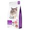 Catit Recipes Adult Indoor Sterilised Sparpaket: 2 x 2 kg