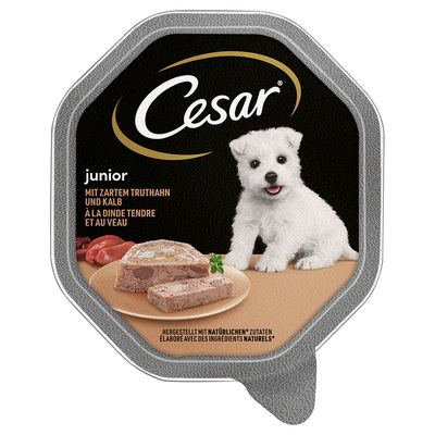 Cesar Junior Schale 14 x 150 g mit Truthahn und Kalb