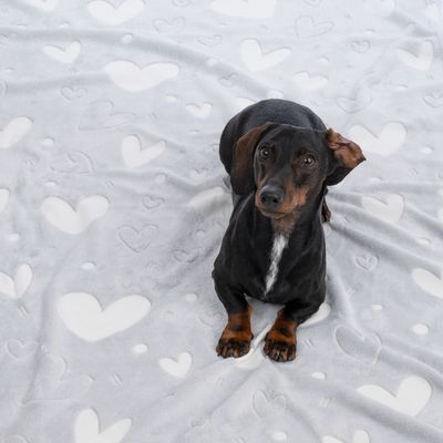 Kutya szürke takarón fehér szívmintákkal. A termék a takaró anyagát és mintáját mutatja.