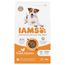 IAMS Advanced Nutrition Adult Small & Medium Dog, kurczak 3 kg