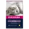 Eukanuba Healthy Start Kitten 10 kg