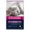 Eukanuba Healthy Start Kitten Výhodné balení: 2 x 10 kg