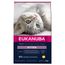 Eukanuba Kitten Healthy Start Crocchette per gatti 10 kg