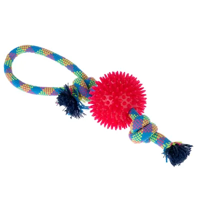 Gioco per cani zooplus Basics Corda con palla - Ø 10 x L 32 cm