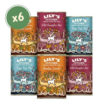 Six tins of Lily's Kitchen proper food for dogs in assorted flavours: Sunday Lunch, Wild Campfire Stew, and Fishy Fish Pie. Each tin lists main ingredients on the label.