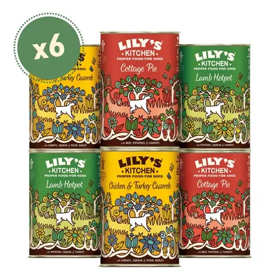 Six tins of Lily's Kitchen proper food for dogs in Cottage Pie, Lamb Hotpot, and Chicken & Turkey Casserole flavours. x6 pack shown.
