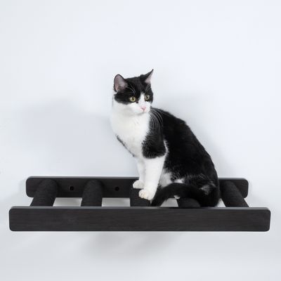 Chat noir et blanc assis sur une étagère murale noire à quatre barres horizontales, matériau bois ou similaire visible.