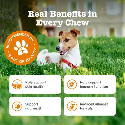 Zesty Paws Aller-Immune Chews lazac