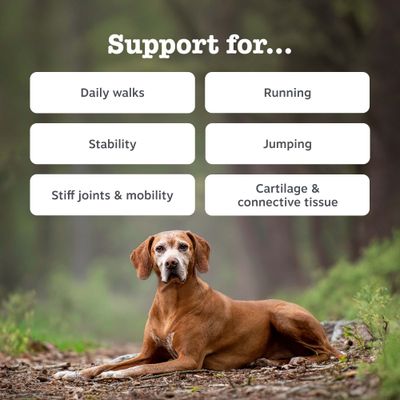 Zesty Paws Hip & Joint Chews Pavo