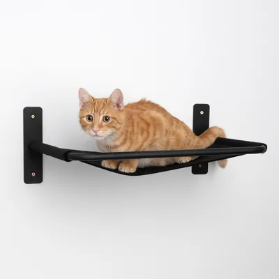 Wandmontierte schwarze Hängematte mit orange-gestreifter Katze darauf.