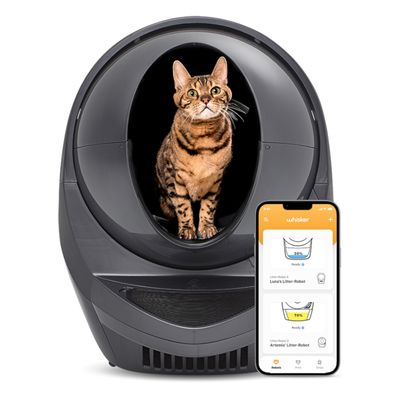 Katt i automatisk kattlåda, bredvid en smartphone med Whisker-app som visar status för två Litter-Robot-enheter: Luna’s Litter-Robot 30 % och Artemis’ Litter-Robot 70 %.