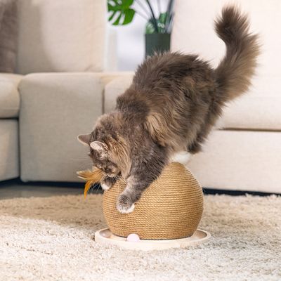 Kat speelt met een krabspeeltje van touw in bolvorm, bevestigd op een houten basis met geïntegreerde bal en veer.