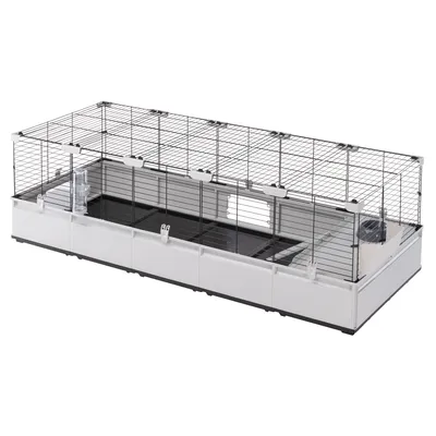 Gabbia rettangolare in metallo e plastica con beverino trasparente, rampa interna e zona rialzata visibili. Porte frontali con chiusure bianche.