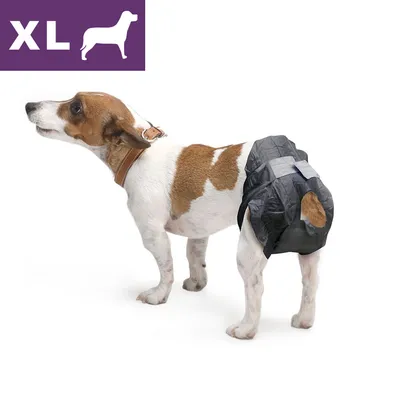 Hund med svart blöja, storlek XL visas i lila ruta med hundsymbol uppe till vänster. Blöjan täcker bakdelen och har öppning för svansen.