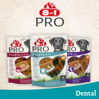 8in1 Fillets Pro Dental - 80 г
