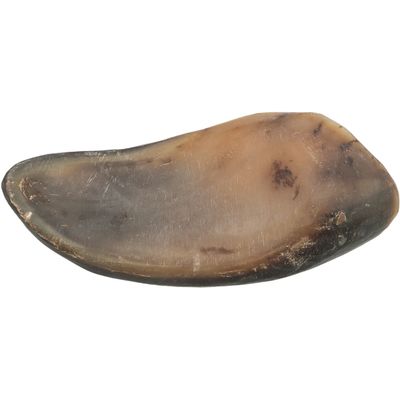 Naturalne kopyto wołowe, brązowe i czarne, odpowiednie jako gryzak dla zwierząt domowych.