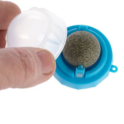 Χέρι ανοίγει μπλε πλαστική θήκη με πράσινη μπάλα στο εσωτερικό, καλυμμένη με διαφανές καπάκι.