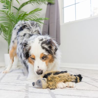 Hondenspeelgoed in de vorm van een pluchen dier met vachtpatroon op een tapijt.