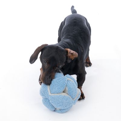 Cane nero che gioca con una palla di peluche azzurra su sfondo bianco. Il materiale della palla appare morbido e tessile.