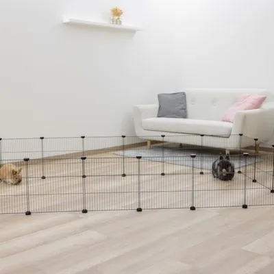 Parque de metal negro para pequeños animales, colocado en una sala con suelo de madera. Dos conejos dentro del parque. Sofá blanco y cojines al fondo.