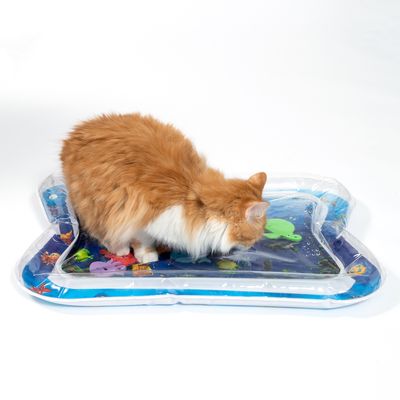 Gato rojo juega sobre una alfombrilla llena de agua con diseño submarino colorido y figuras flotantes.