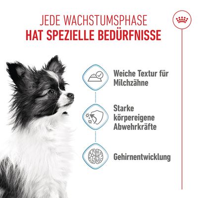 Royal Canin X-Small Puppy in Soße - 12 x 85 g