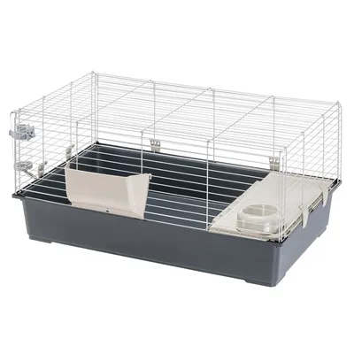 Cage pour rongeur avec base en plastique gris, structure en métal, mangeoire et gamelle intégrées, porte latérale visible.