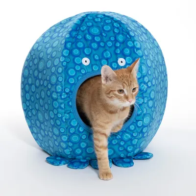 Kattenhol in blauw met cirkelpatroon, vormgegeven als een octopus. Een oranje kat komt uit de opening. Kattenhol in blauw met cirkelpatroon, vormgegeven als een octopus. Een oranje kat komt uit de opening.