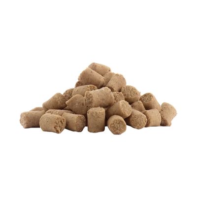 Chewies Trainings-Happen