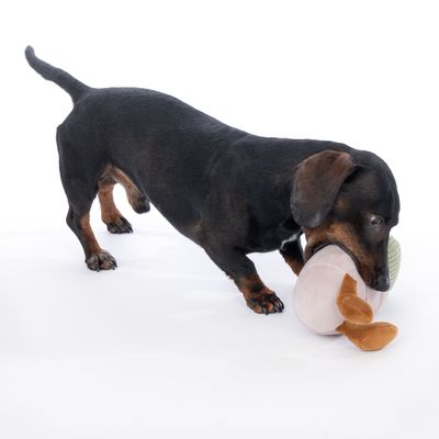 TIAKI Nature hundeleke kaktuspotte