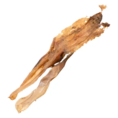 Pezzo di pelle di pesce essiccata, naturale e senza additivi. Pezzo di pelle di pesce essiccata, naturale e senza additivi.