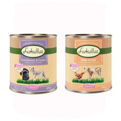 Lukullus Geflügel & Wild Junior, 24×800 g konzervy. Text: Extra calcium & phosphorus, mit Süßkartoffeln, Heidelbeeren und Sonnenblumenöl. Na etikete kura a jeleň.