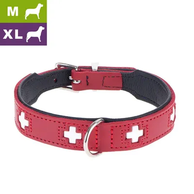 Collier pour chien en cuir rouge avec croix blanches, boucle métallique. Tailles indiquées : M et XL, pictogrammes de chiens correspondants.