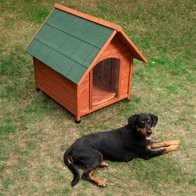 Niche pour chien en bois avec toit vert, porte transparente souple, posée sur l’herbe. Grand chien noir et feu allongé devant la niche.