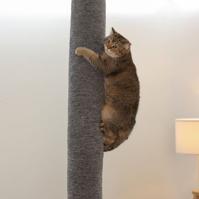 Kat klimmt op een grijze krabpaal met stoffen bekleding. Product toont gebruik van de krabpaal voor katten.