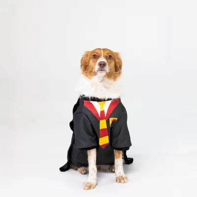 Hondenkostuum in zwart met rode en gele sjaal, geïnspireerd op een schooluniform. Geschikt voor huisdierverkleding of themafeesten.