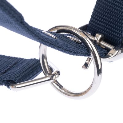 Primo piano di un collare in nylon blu con anello e fibbia in metallo argentato.