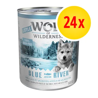 Lot de 24 boîtes Wolf of Wilderness Little Blue River Junior, 800 g, poulet et saumon, 100 % grain-free, fruits des bois, racines et herbes sauvages visibles sur l’étiquette.