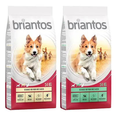 Lot Briantos 2 x 14 kg pour chien - lot mixte Adult agneau + poulet (2 x 14 kg)