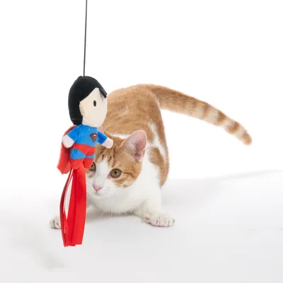 Spielzeugfigur mit Superman-Design an einer Schnur, von einer rot-weissen Katze neugierig betrachtet.