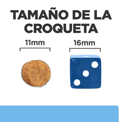 Tamaño de la croqueta: imagen comparativa entre una croqueta de 11 mm y un dado azul de 16 mm, con texto explicativo en la parte superior.