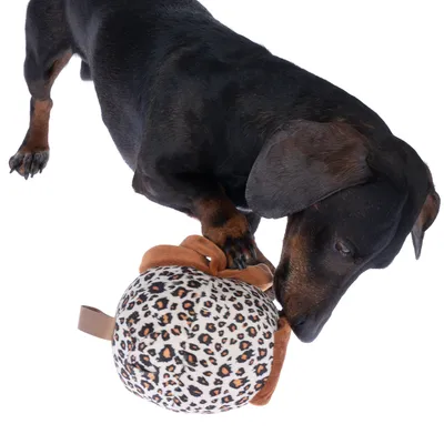 Chien jouant avec un jouet en peluche à motif léopard. Jouet avec détails marron et poignée.