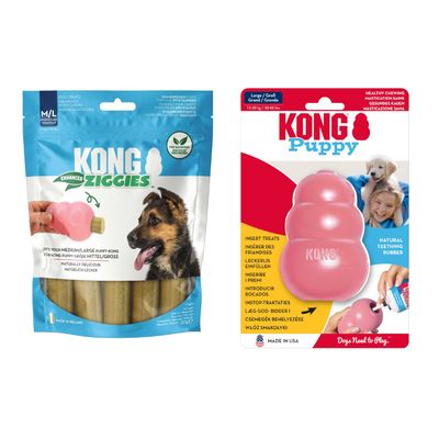 KONG Puppy
