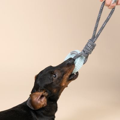 TIAKI tyggeleke med tau og nupper