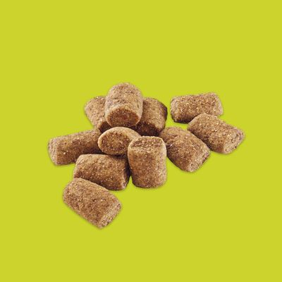 Nahaufnahme von braunen, rechteckigen Trockenfutterstücken auf grünem Hintergrund.