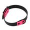 Heim Halsband zweifarbig genietet, schwarz/pink 50 cm lang, 25 mm breit