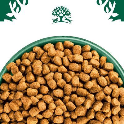 James Wellbeloved Adult Small Breed - Kalkoen & Rijst