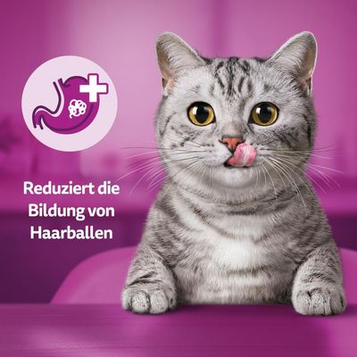Symbol eines Magens mit Haarballen und Text: Reduziert die Bildung von Haarballen. Katze im Vordergrund.