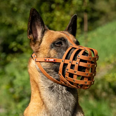 COLORI® 2.0 Maulkorb Schäferhund L, hellbraun - Grösse 9